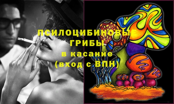 дживик Гусев